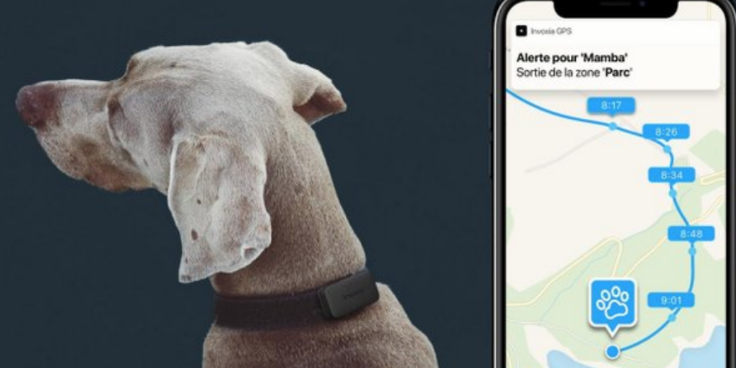 @Sigfox: ¡Un nuevo GPS para monitorear a tu perro y nunca perderlo!
