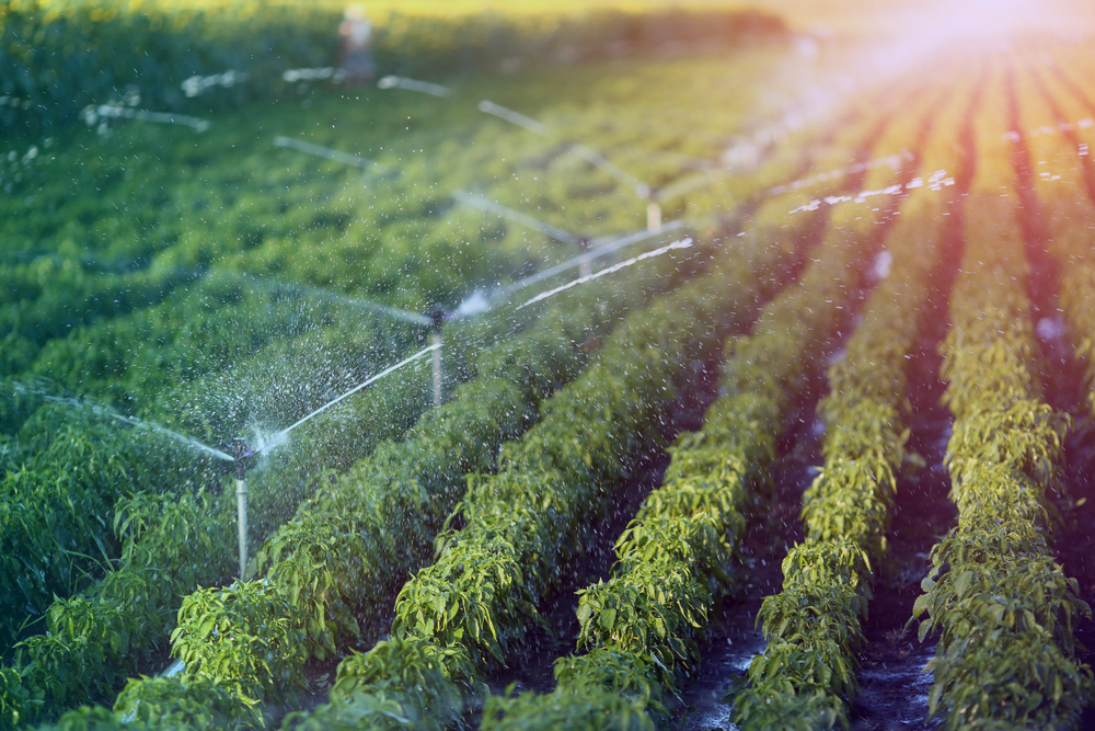Para nuestras futuras generaciones, la agricultura estará conectada y será ecológica según @Sigfox y Sencrop