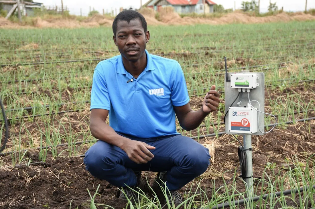 Liquid Telecom y Twiga Food introducen una agricultura de precisión en Kenia