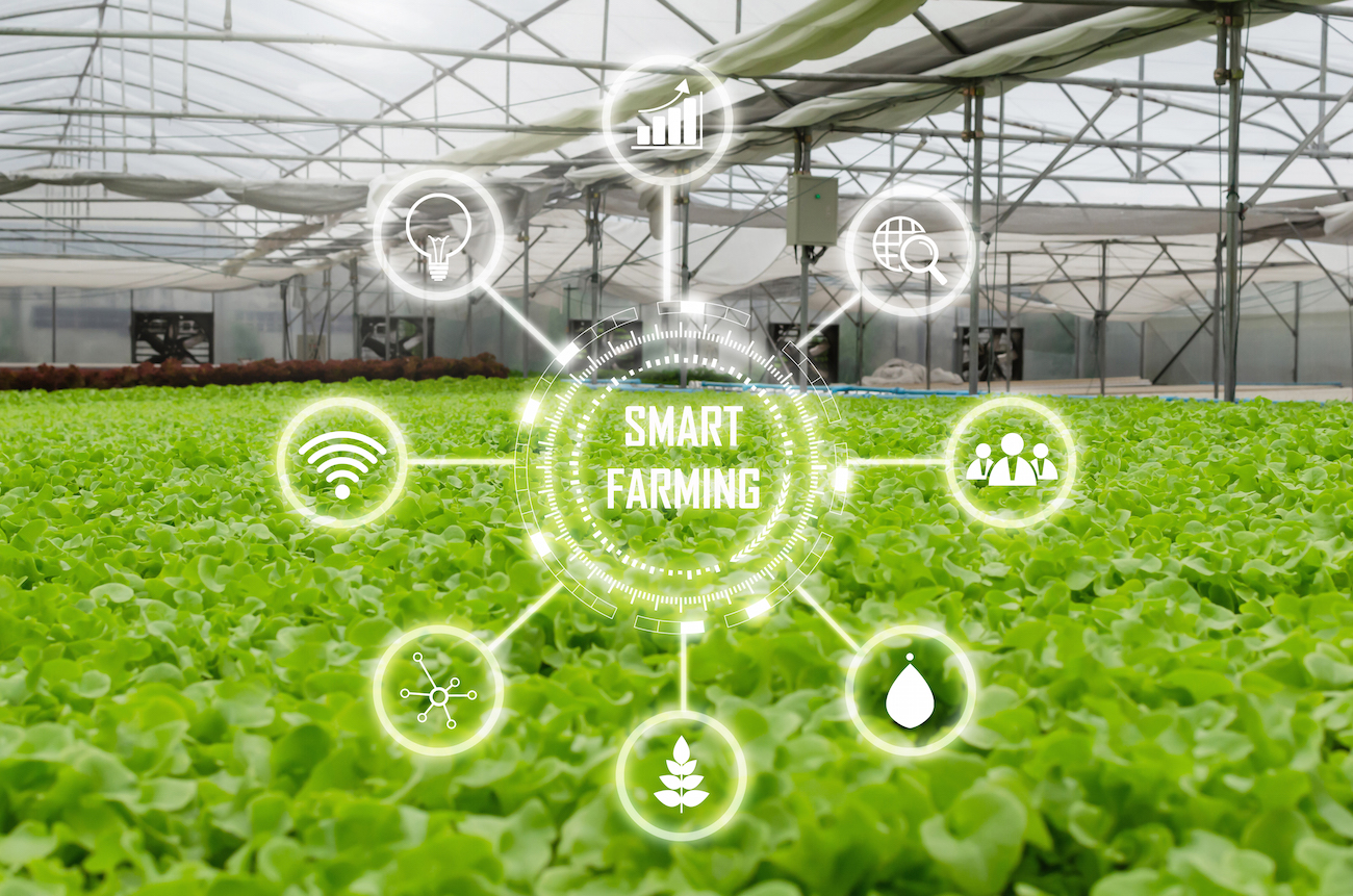 La red 0G de Sigfox ayuda a Sencrop a ofrecer soluciones agrícolas inteligentes y conectadas