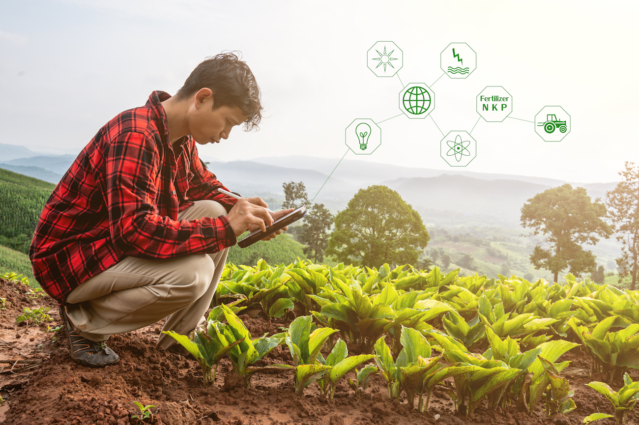 Sencrop inventa el Waze de los agricultores: una plataforma que proporciona estaciones meteorológicas conectadas