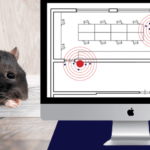 vigilancia digital de roedores IoT