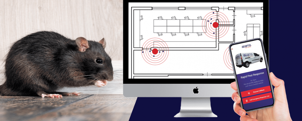 Adams Pest Control, Cre8tec y Thinxtra crean el futuro del control de plagas con una solución digital de gestión de roedores 24×7 habilitada para IoT